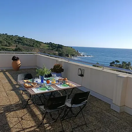 Le Rooftop Des Elmes T2 Vue Lägenhet Banyuls-sur-Mer