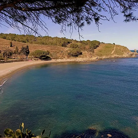 Le Rooftop Des Elmes, T2 Vue Apartment Banyuls-sur-Mer