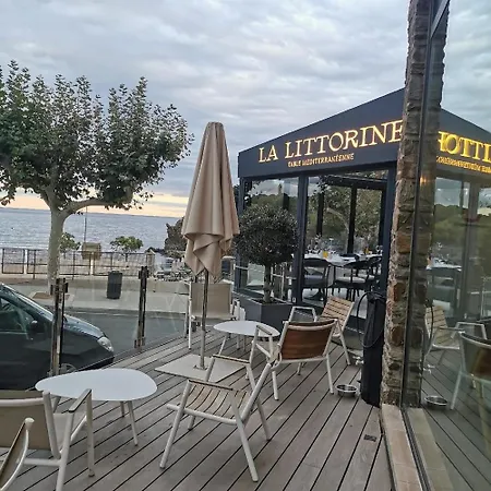 Le Rooftop Des Elmes T2 Vue Lägenhet Banyuls-sur-Mer