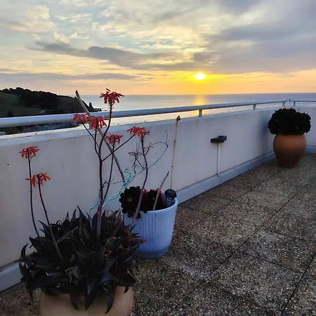 Le Rooftop Des Elmes T2 Vue *