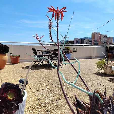 아파트 Le Rooftop Des Elmes T2 Vue